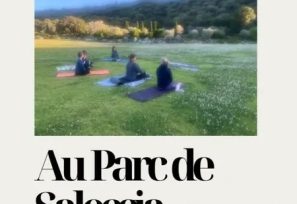 Yoga du du soir en plein air - Parc de Saleccia